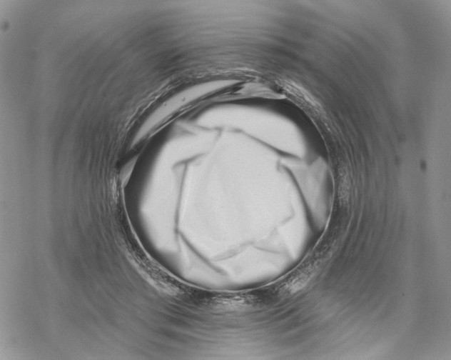 X0000069820405200606091426