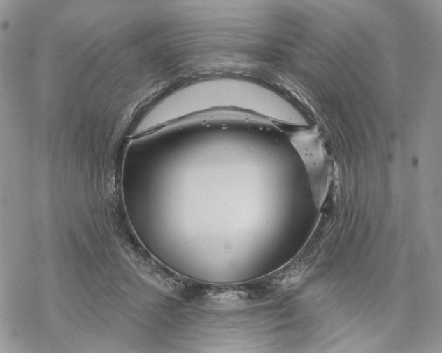 X0000069820407200606091426