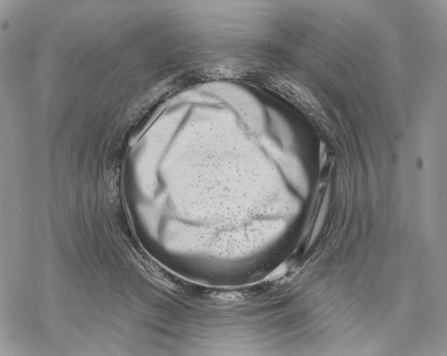 X0000069820409200606091426