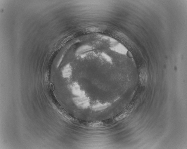 X0000069820410200606091426