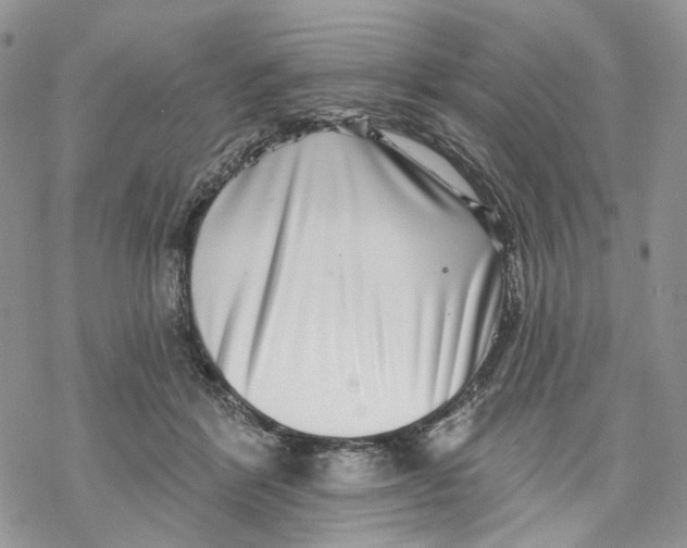 X0000069820412200606091426