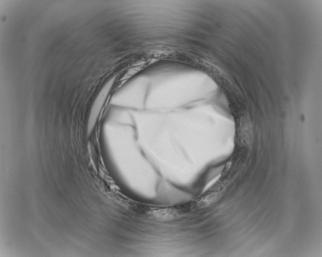 X0000069820417200606091426