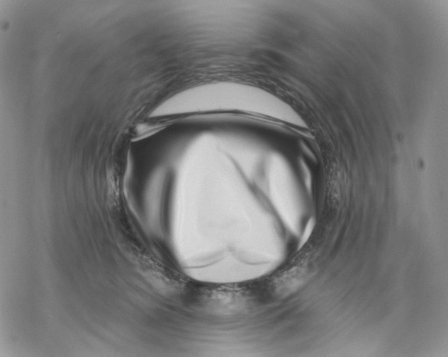 X0000069820420200606091426