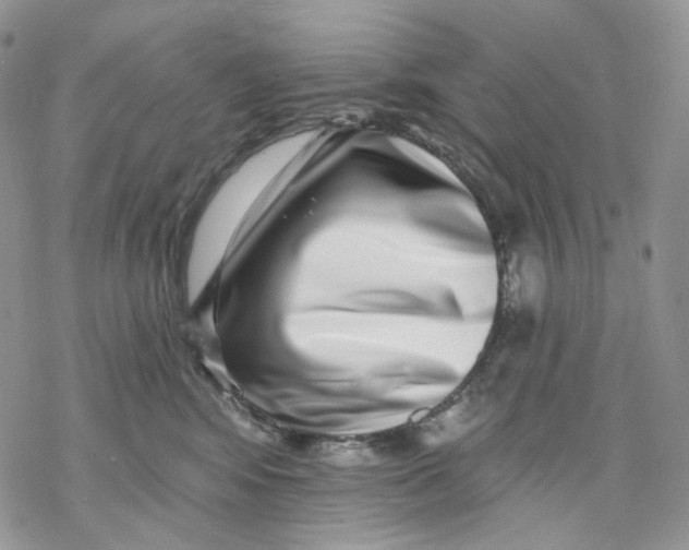 X0000069820424200606091425