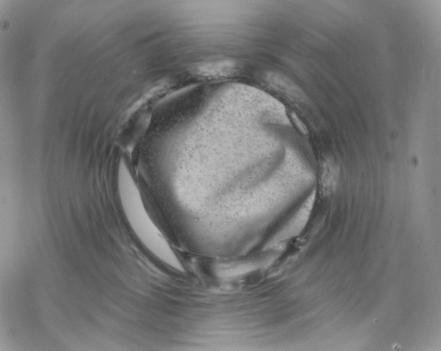 X0000069820428200606091425