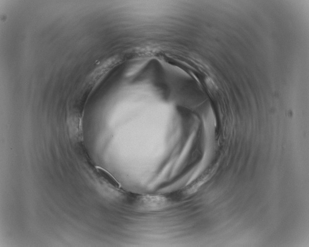 X0000069820429200606091425