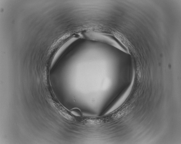 X0000069820442200606091425