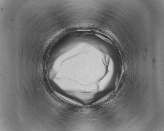 X0000069820444200606091425