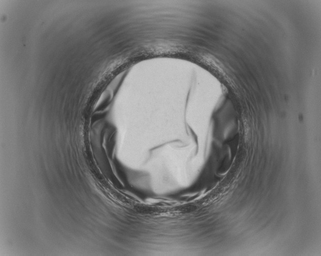 X0000069820447200606091425