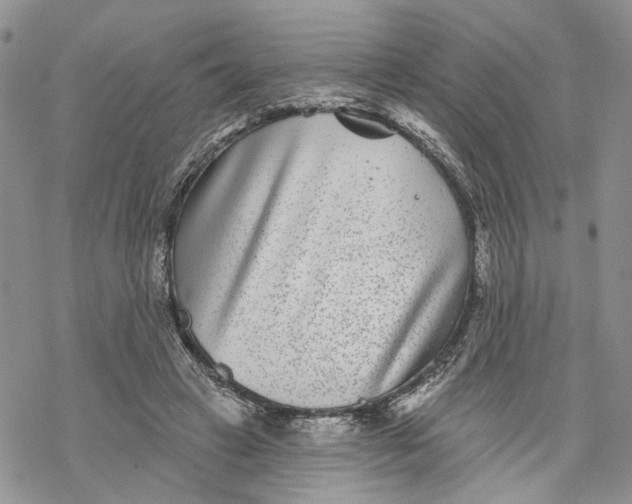 X0000069820449200606091425