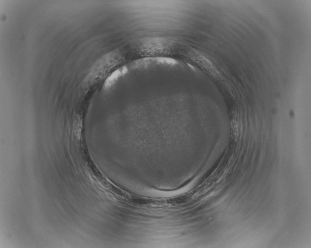 X0000069820458200606091425