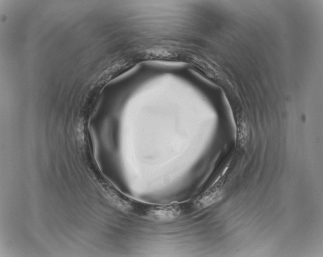 X0000069820466200606091425