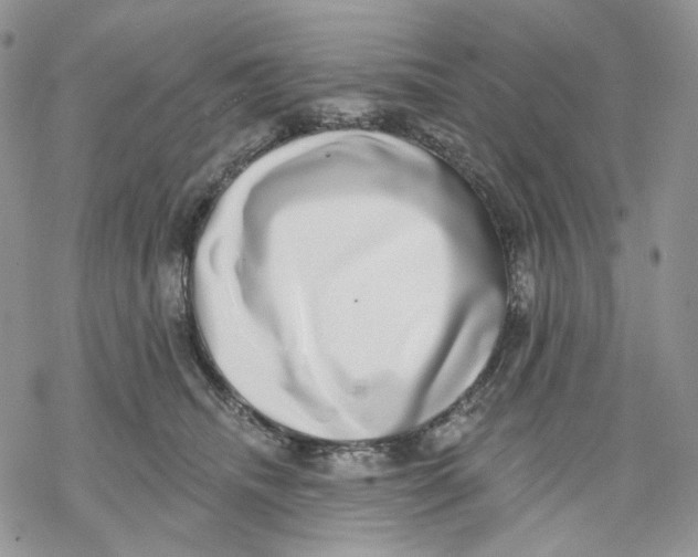 X0000069820468200606091425