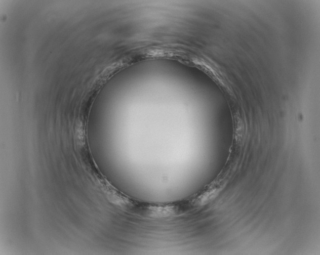 X0000069820469200606091425