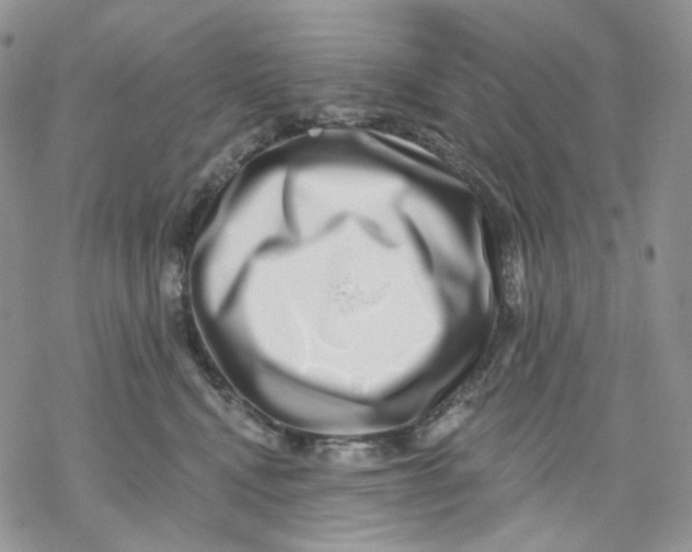 X0000069820472200606091425