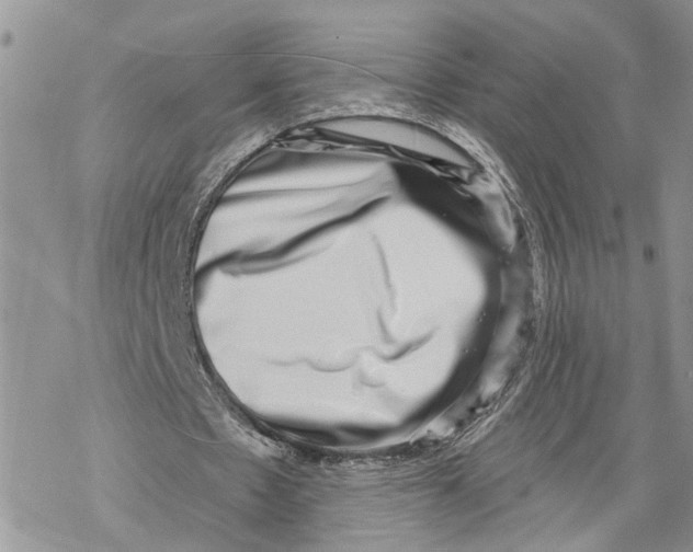 X0000069820481200606091425
