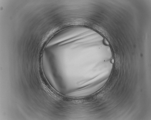 X0000069820482200606091425