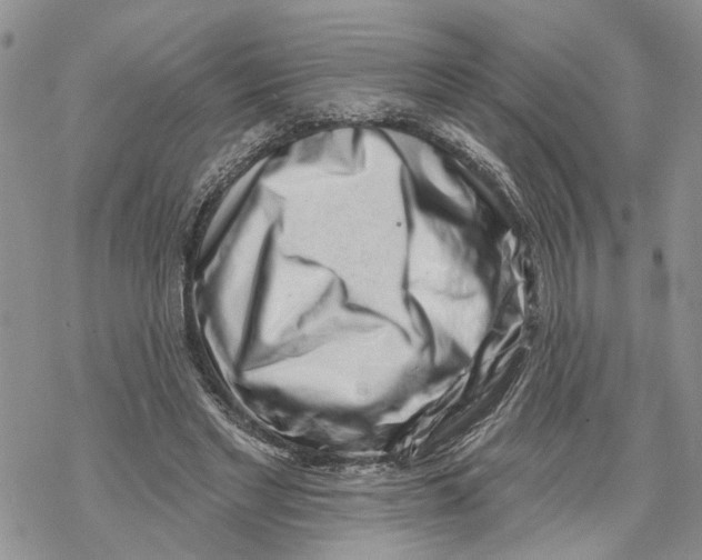 X0000069820493200606091424