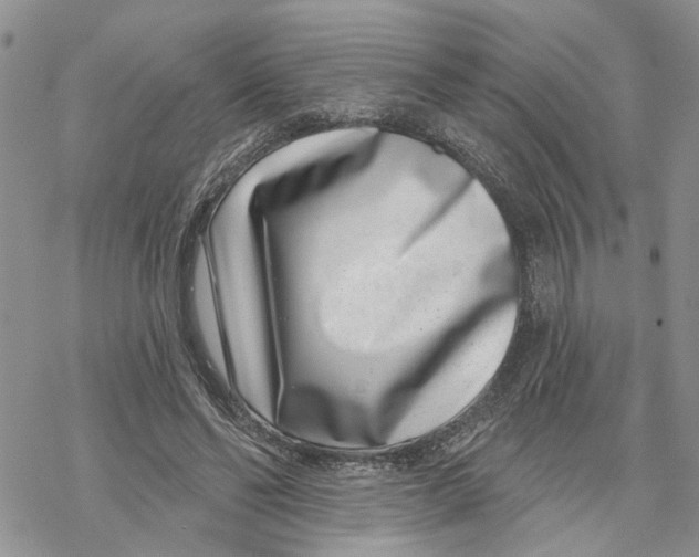 X0000069820494200606091424