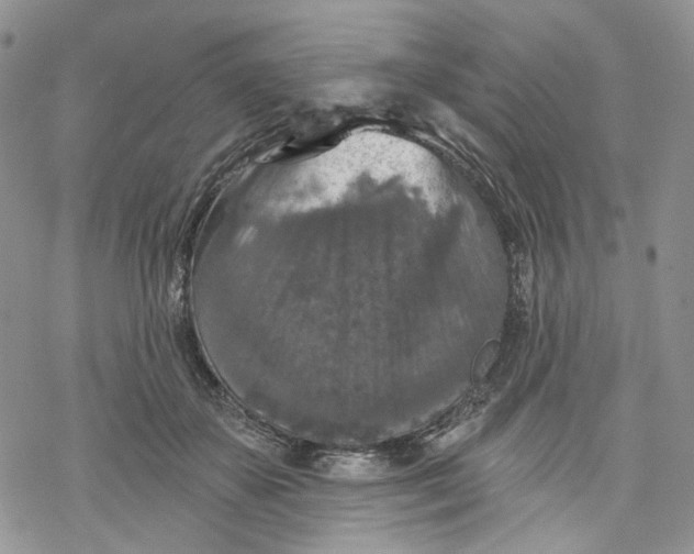 X0000069820507200606091424