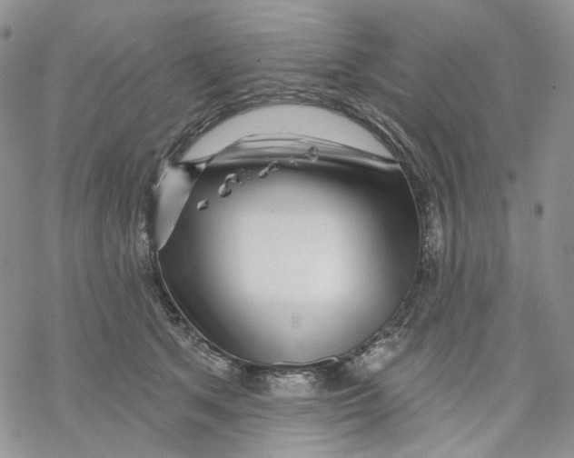 X0000069820513200606091424