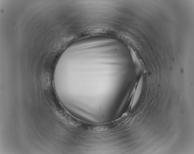 X0000069820546200606091423