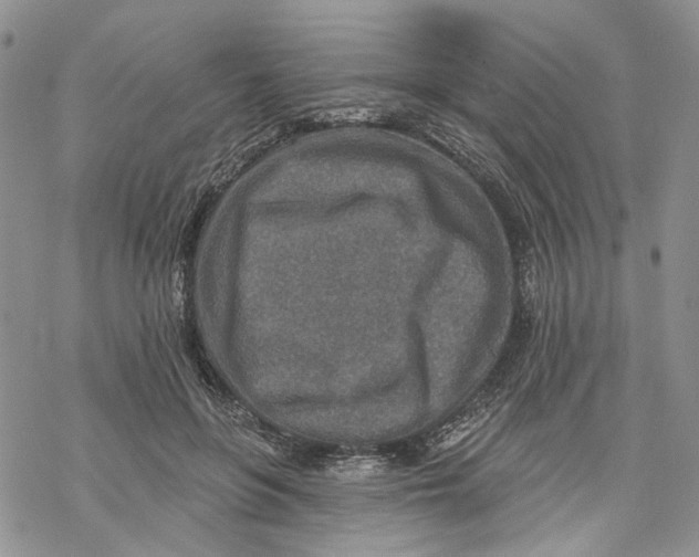 X0000069820551200606091423