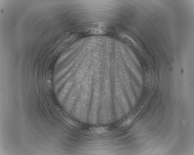 X0000069820553200606091423
