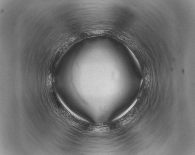 X0000069820555200606091423