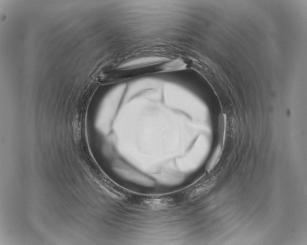 X0000069820558200606091423