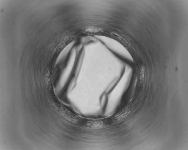 X0000069820559200606091424