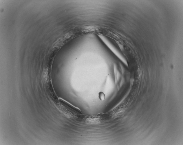 X0000069820560200606091424