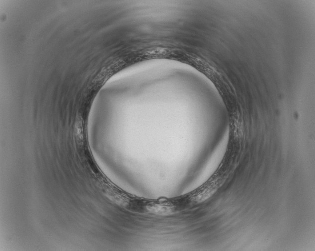 X0000069820561200606091424