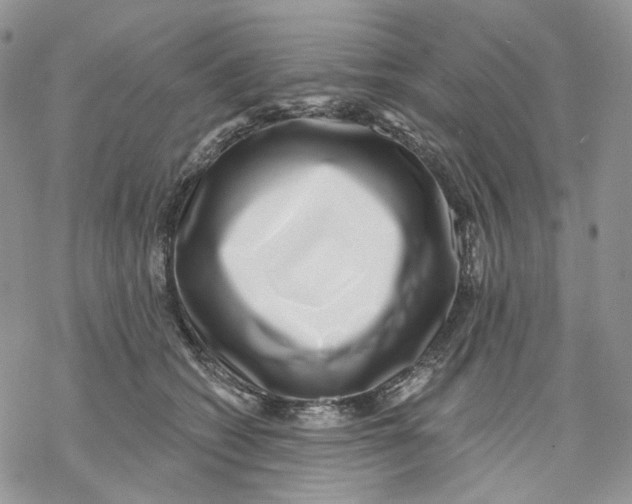 X0000069820562200606091424