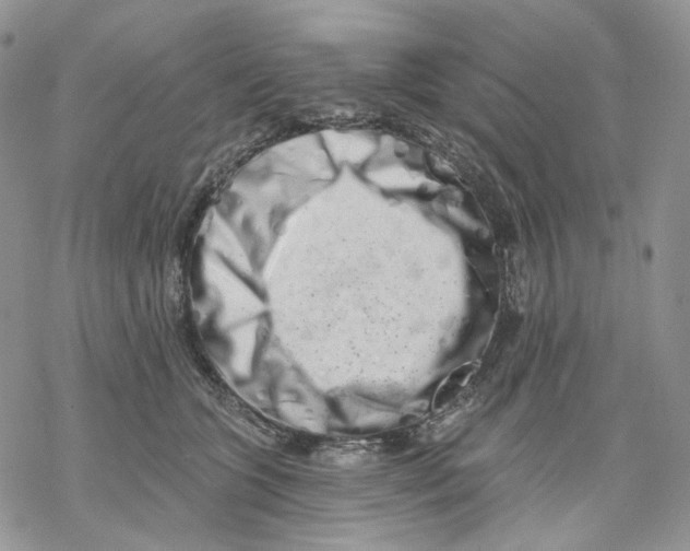 X0000069820563200606091424