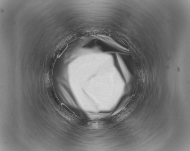 X0000069820564200606091424