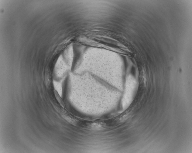 X0000069820566200606091424