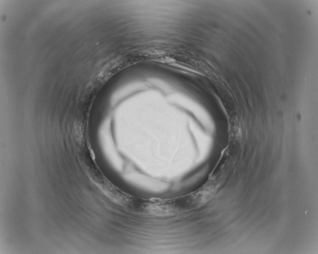 X0000069820568200606091424