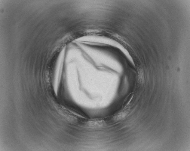 X0000069820571200606091424
