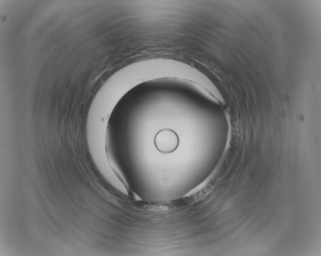 X0000069820572200606091424