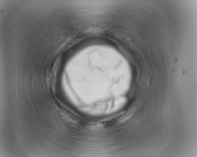 X0000069820576200606091424