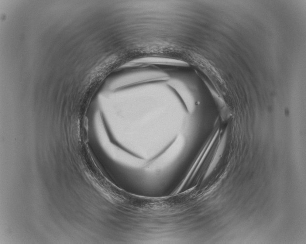 X0000069820589200606091423
