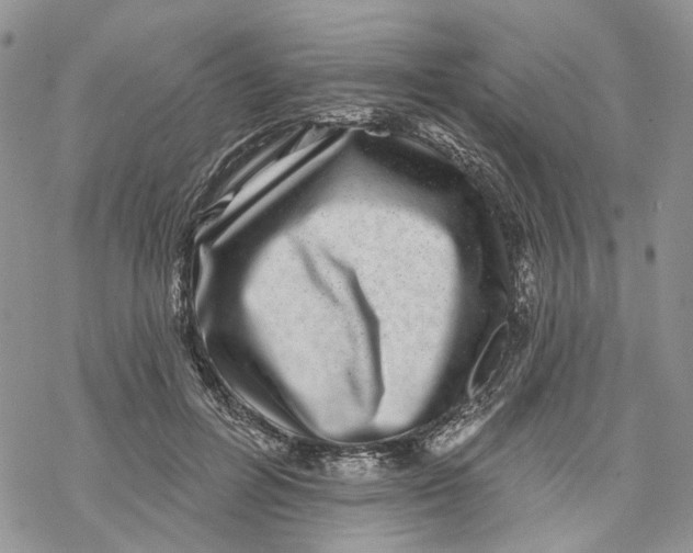 X0000069820600200606091423