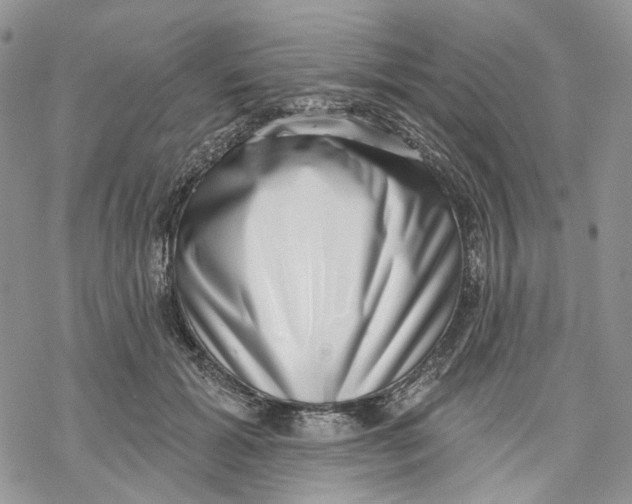 X0000069820605200606091423