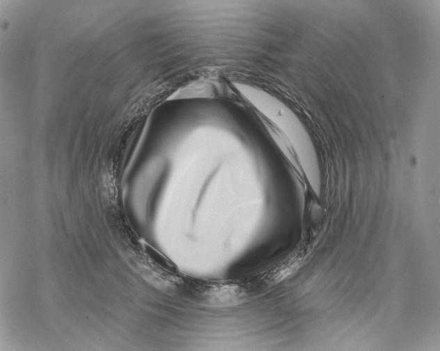 X0000069820609200606091422