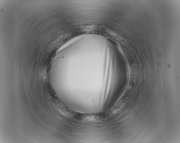 X0000069820611200606091422