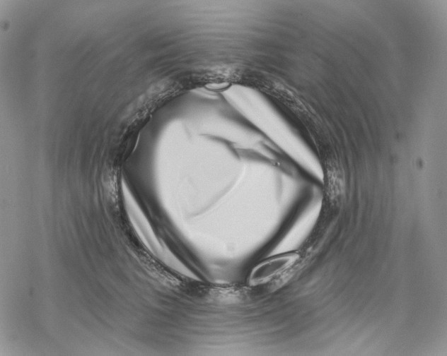 X0000069820613200606091422