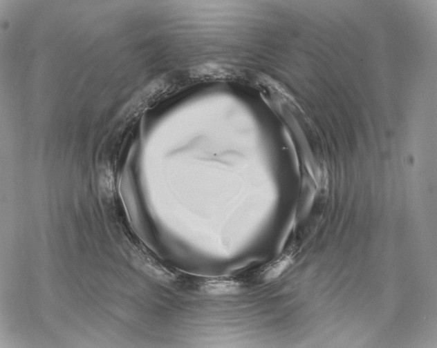 X0000069820617200606091422