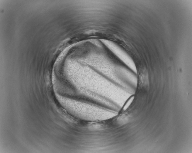 X0000069820620200606091422