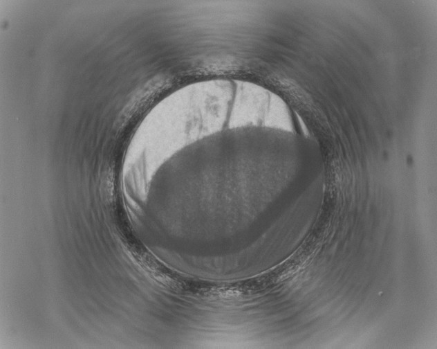 X0000069820640200606091422